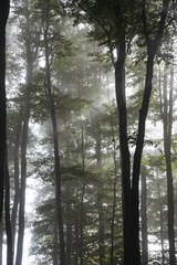 JXX_7302462