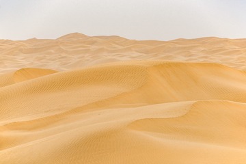 JXX_2992