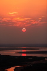 JXX_6269332