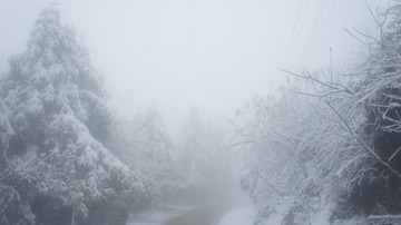 5D780E8B-7224-4223-948B-7E75C8B706D9/L0/001