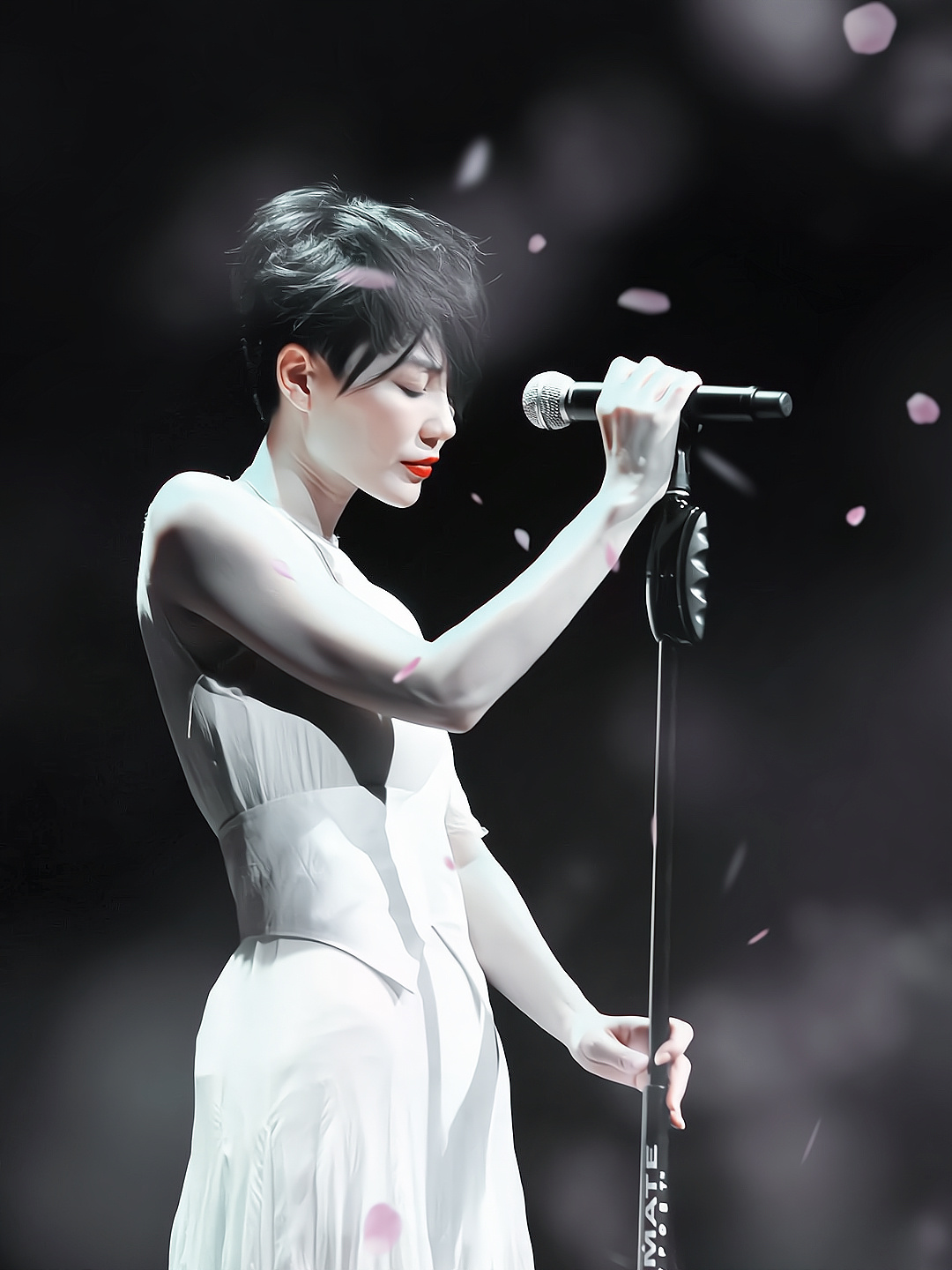 王菲演唱会素材