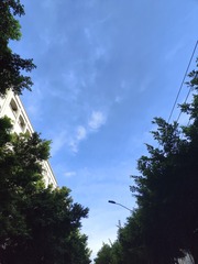1000015167