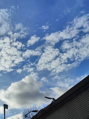 1000015164