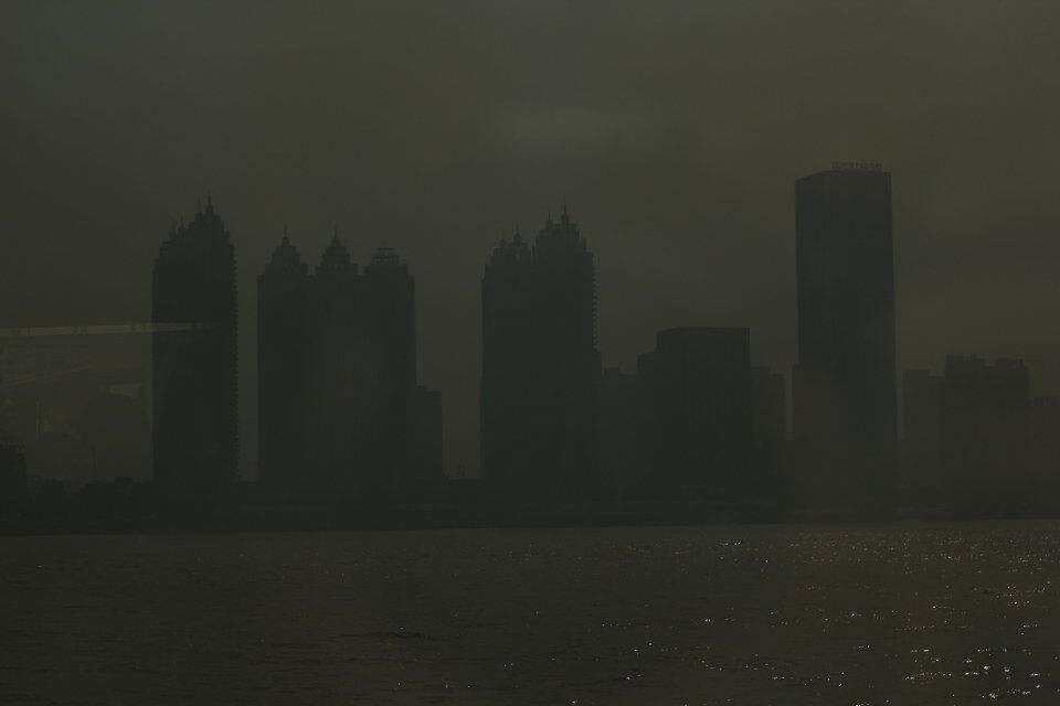 阳光萧瑟的树林<br />
