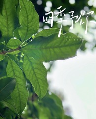 468035DD-5BF6-477A-859D-D81A9E0EC487/L0/001