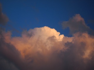 1077879