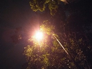 2461525