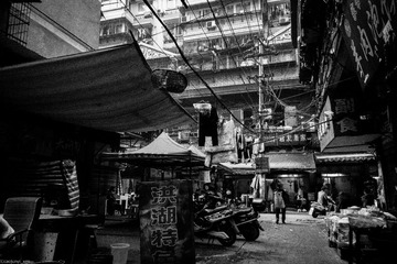 _DSC2512large