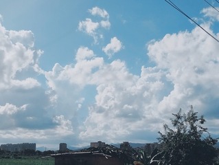 35619