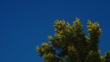 0B709830-68D2-480A-BF4F-ABC873317259/L0/001
