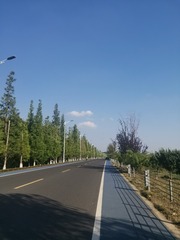 1568868