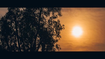 234802