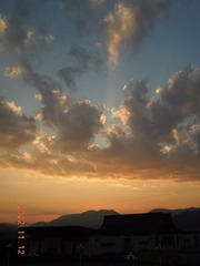 58361D90-176C-4CC5-A21A-6CF8F885445C/L0/001