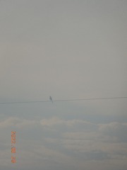 FEFBFA88-C267-45AB-8F9D-E5915D60D94D/L0/001