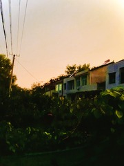 655159F2-9A24-4EE6-B21F-78669454A641/L0/001