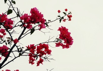 225958C7-33A1-40F3-BFAC-79012BDDEDEF/L0/001