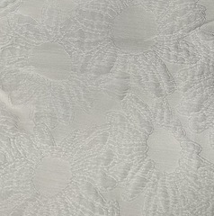 C683F10B-B6D9-425B-A51A-68F2E7BE7458/L0/001