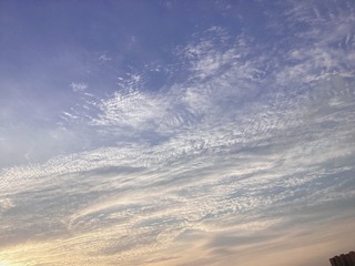 FAD4F7D0-6E4C-4B7F-A6C3-D126912E6F78/L0/001