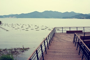 IMGP7807.jpg