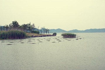 IMGP7804.jpg