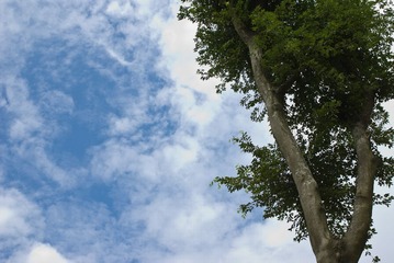 IMGP7884.jpg