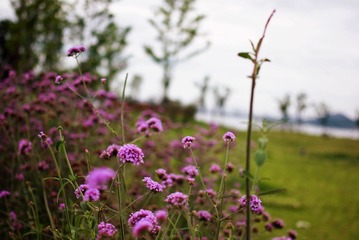 IMGP8006.jpg