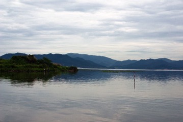 IMGP8041.jpg
