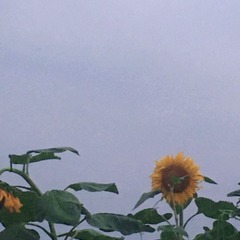 D89B265E-B9E0-41F4-AD42-E20AAC728D93/L0/001