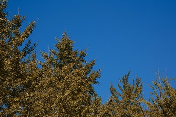 17EB6797-F5F6-4881-9343-FB2D15252372/L0/001