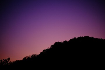 C3725B2A-5DD3-4499-92AA-C9D45F3E33D6/L0/001
