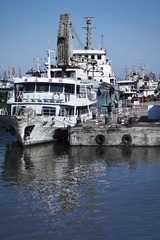 IMG_6252.jpg