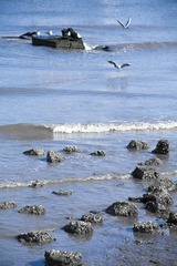 IMG_6267.jpg