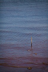IMG_6291.jpg