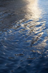 IMG_6483.jpg