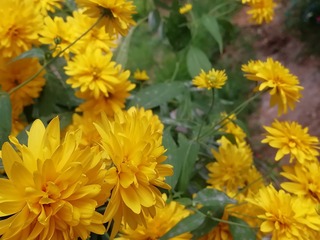 2011905