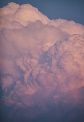 7BC703CF-ED3F-4CC9-B66F-11AB89098905/L0/001