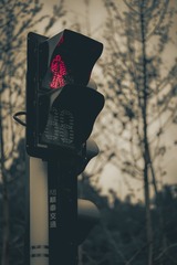 427966
