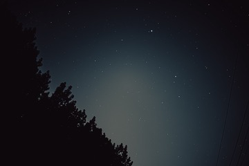 421325