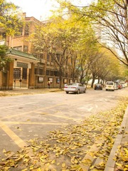 IMG_7211.jpg