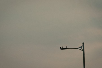 IMG_0378.jpg