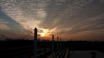 IMG_6820.jpg