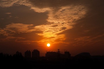 IMG_6835.jpg