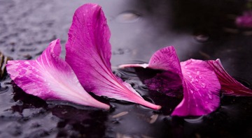 IMG_6756.jpg