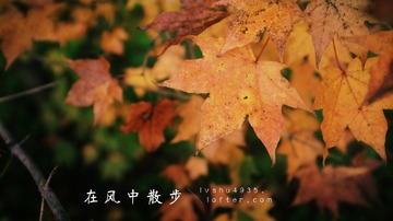 MA201609271344310040-04-000000000