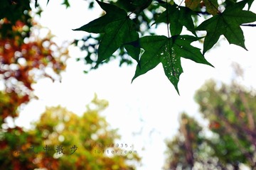 MA201609271347580006-00-000000000