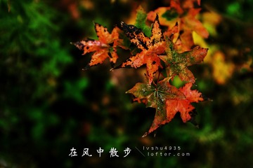 MA201609271325280031-00-000000000
