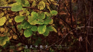 MA201609271336000080-04-000000000