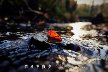 MA201610021840490099-00-000000000
