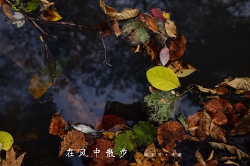 MA201610021733310096-00-000000000