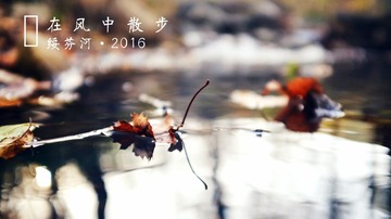MA201610021729300045-04-000000000